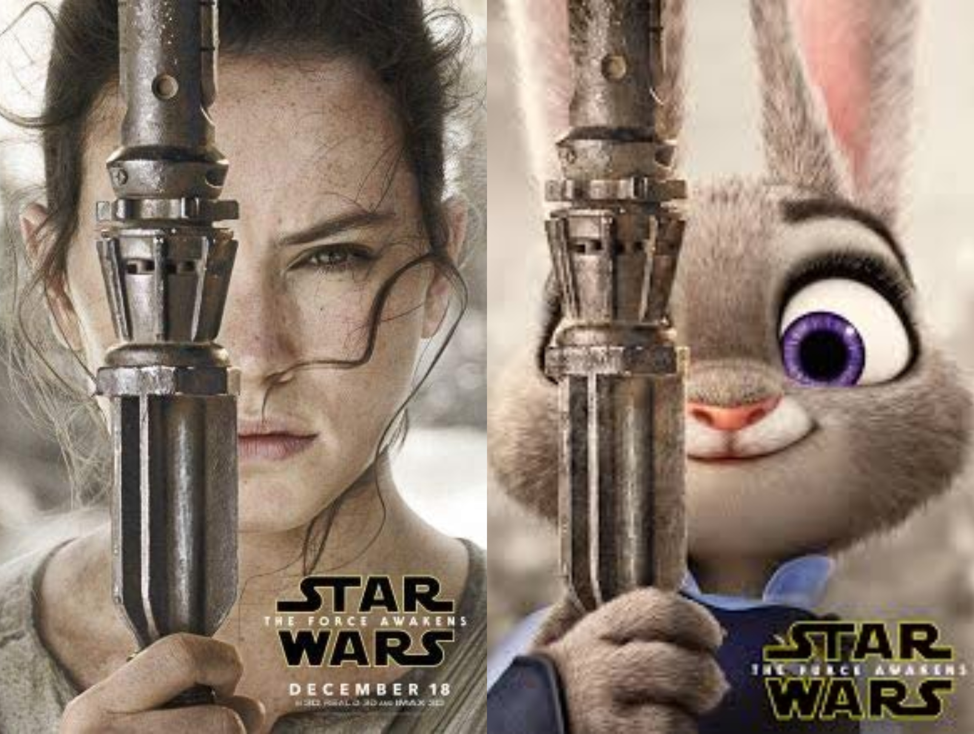Posters for Star Wars: The Force Awakens and Star Wars: The Furce Awakens